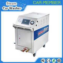 Car Steam Wash-C500