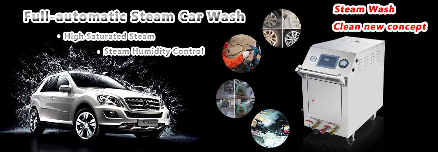 Steam clean car--C500 - Steam Car Washer Series